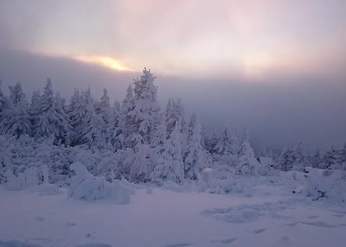 Apartman Klinovec Loučná pod Klínovcem